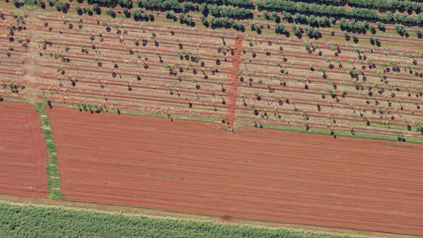 Ortho farm