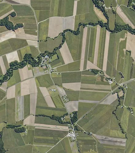 PD Low Res Farm Ortho