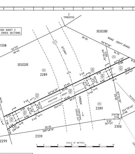 Licensed surveyor plans and reports