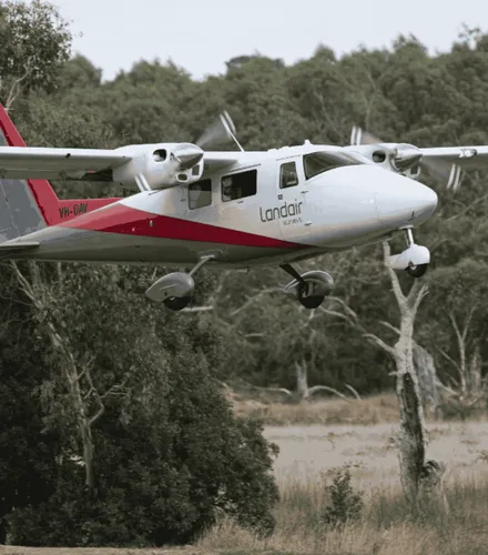 Statewide Planned Burns Photography